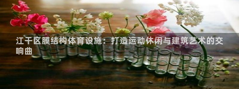 意昂体育3娱乐：江干区膜结构体育设施：打造运动休闲与