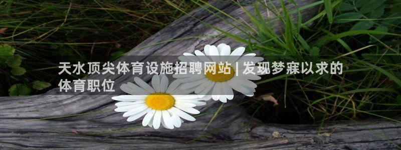 意昂体育3平台注册流程视频：天水顶尖体育设施招聘网站