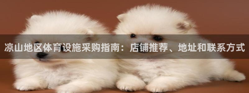 意昂体育3平台是正规平台吗知乎：凉山地区体育设施采购