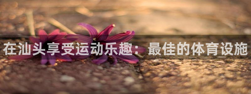 意昂3娱乐网站：在汕头享受运动乐趣：最佳的体育设施