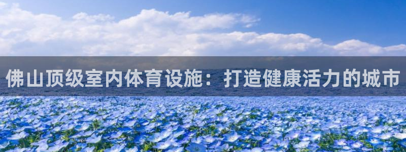 意昂3官网：佛山顶级室内体育设施：打造健康活力的城市