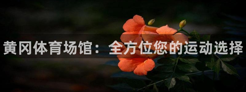 意昂3科技：黄冈体育场馆：全方位您的运动选择
