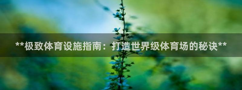 意昂体育3：**极致体育设施指南：打造世界级体育场的