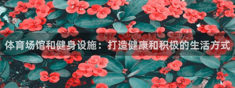 意昂体育3招商电话：体育场馆和健身设施：打造健康和积