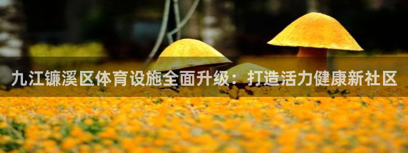 意昂3娱乐网站：九江镰溪区体育设施全面升级：打造活力