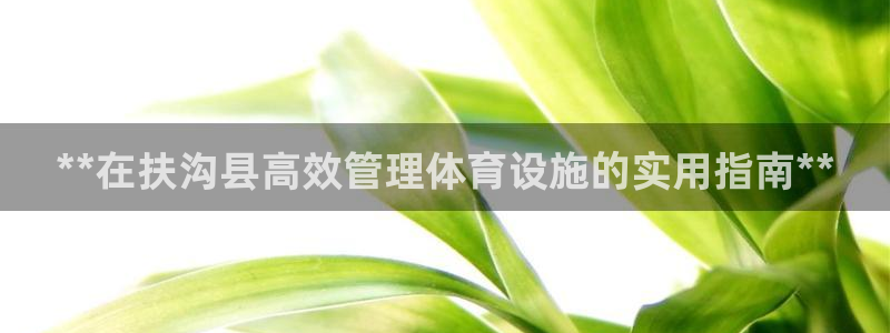 意昂体育3招商电话号码是多少啊：**在扶沟县高效管理