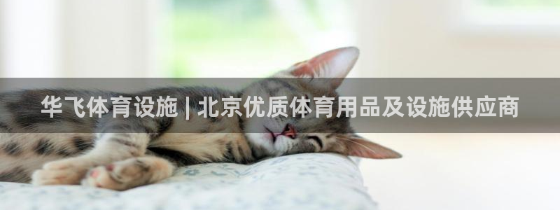 意昂体育3招商电话地址查询：华飞体育设施 | 北京优