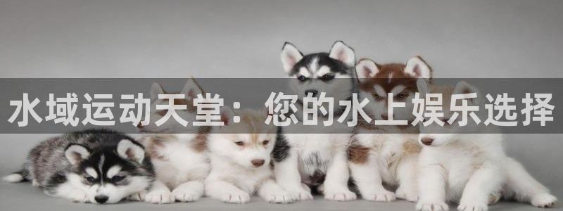 意昂体育3平台注册流程图：水域运动天堂：您的水上娱乐