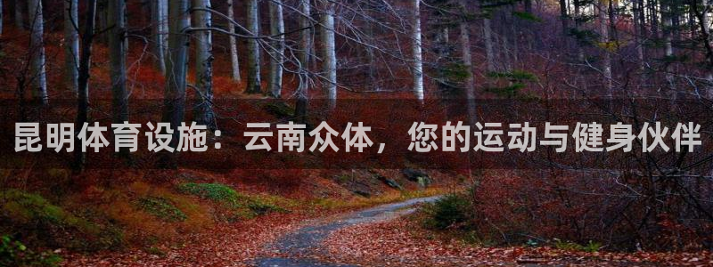 意昂3集团logo：昆明体育设施：云南众体，您的运动