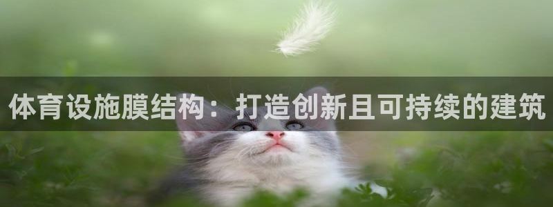 意昂3集团官网网址：体育设施膜结构：打造创新且可持续