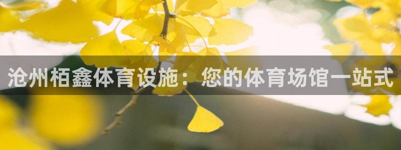 意昂体育3平台注册要钱吗安全吗：沧州栢鑫体育设施：您