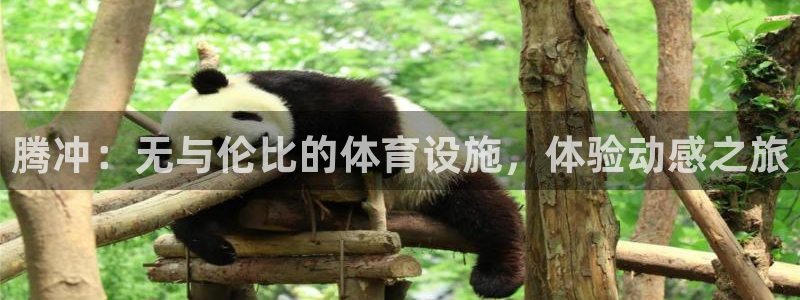 意昂3神州：腾冲：无与伦比的体育设施，体验动感之旅