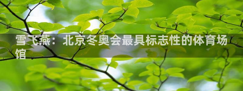 意昂3娱乐下载：雪飞燕：北京冬奥会最具标志性的体育场
