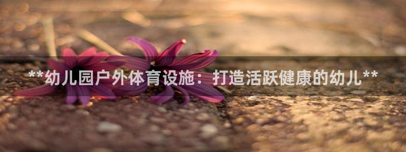 意昂3科技：**幼儿园户外体育设施：打造活跃健康的幼
