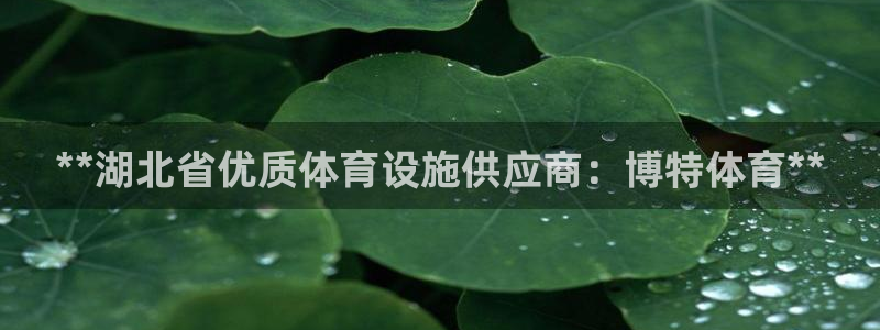 意昂3娱乐：**湖北省优质体育设施供应商：博特体育*