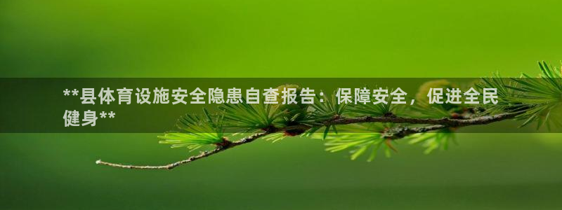 意昂3集团简介：**县体育设施安全隐患自查报告：保障
