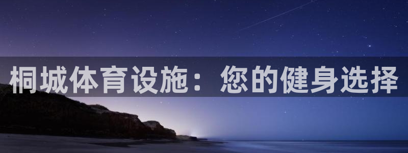 意昂体育3平台注册：桐城体育设施：您的健身选择