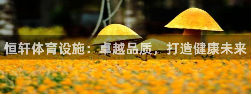 意昂3娱乐下载：恒轩体育设施：卓越品质，打造健康未来