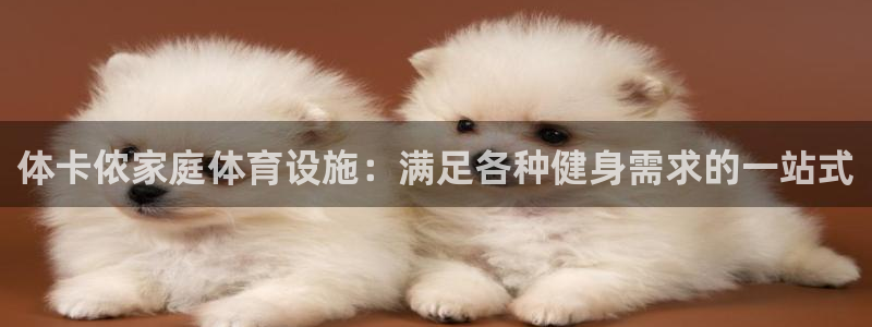 意昂体育3平台假的吗是真的吗：体卡侬家庭体育设施：满