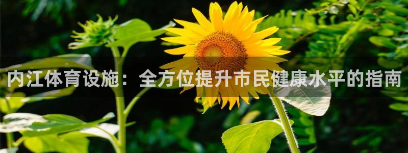 意昂3娱乐首页官网下载：内江体育设施：全方位提升市民