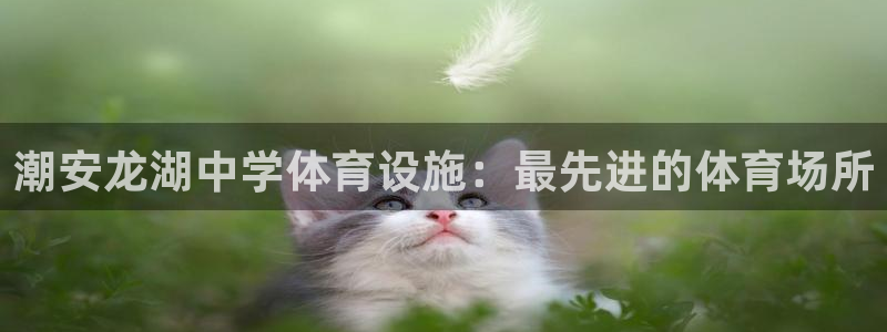 意昂3集团logo：潮安龙湖中学体育设施：最先进的体