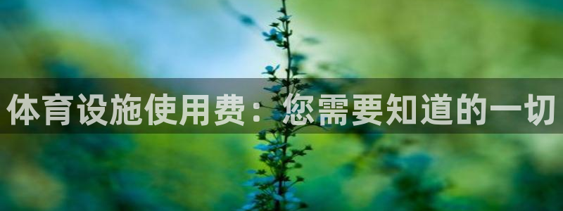 意昂体育3平台：体育设施使用费：您需要知道的一切