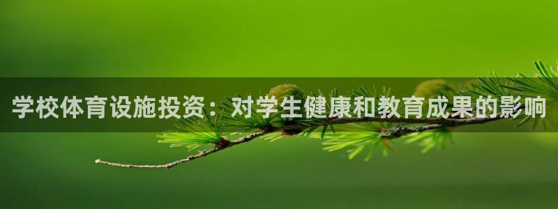 意昂3代理：学校体育设施投资：对学生健康和教育成果的