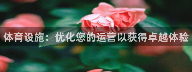 意昂体育3平台注册流程图：体育设施：优化您的运营以获
