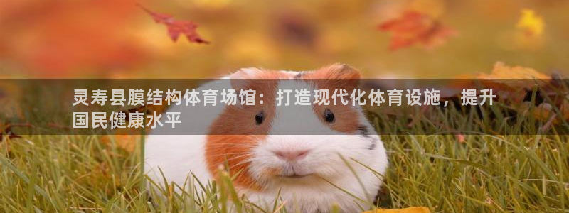 意昂体育3注册：灵寿县膜结构体育场馆：打造现代化体育