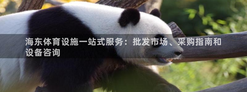 意昂3五金厂：海东体育设施一站式服务：批发市场、采购