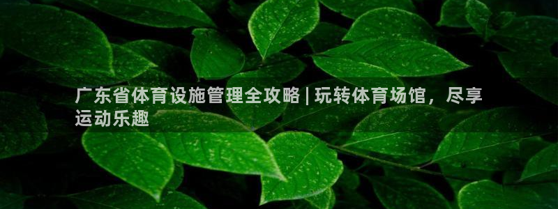 意昂集团官网：广东省体育设施管理全攻略 | 玩转体育