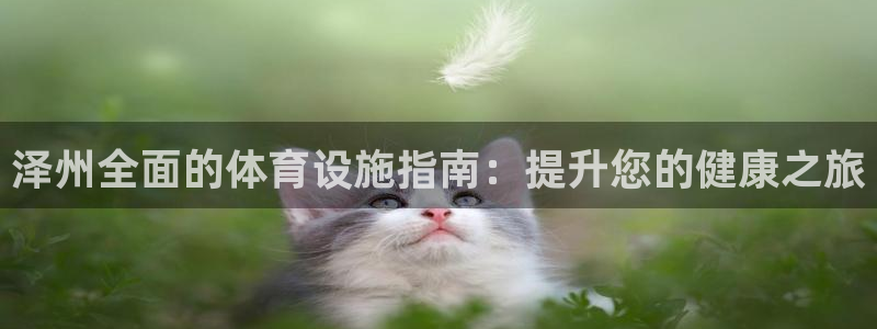 意昂3集团官网首页：泽州全面的体育设施指南：提升您的