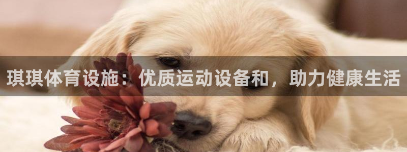 意昂体育3是干嘛的公司：琪琪体育设施：优质运动设备和
