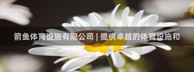 意昂3集团官网网址：箭鱼体育设施有限公司 | 提供卓
