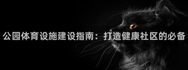 德国意昂3集团：公园体育设施建设指南：打造健康社区的