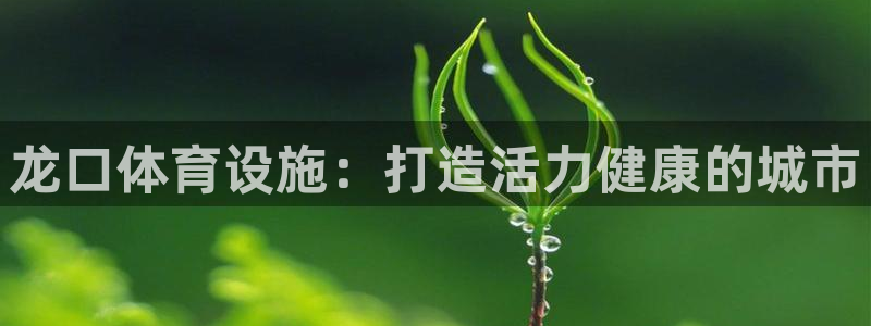 意昂3集团官网网址：龙口体育设施：打造活力健康的城市