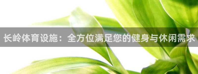 意昂体育3娱乐：长岭体育设施：全方位满足您的健身与休
