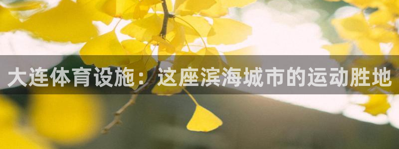 意昂3集团logo：大连体育设施：这座滨海城市的运动
