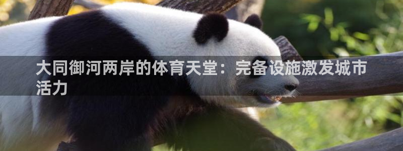意昂体育3招商电话：大同御河两岸的体育天堂：完备设施
