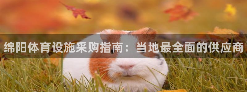 意昂体育3招商电话是多少啊：绵阳体育设施采购指南：当地最全面