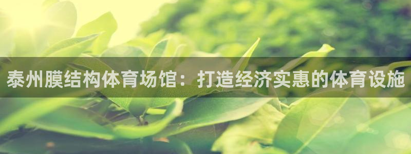 意昂3五金厂：泰州膜结构体育场馆：打造经济实惠的体育