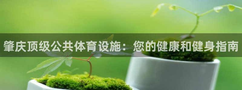意昂3代理：肇庆顶级公共体育设施：您的健康和健身指南