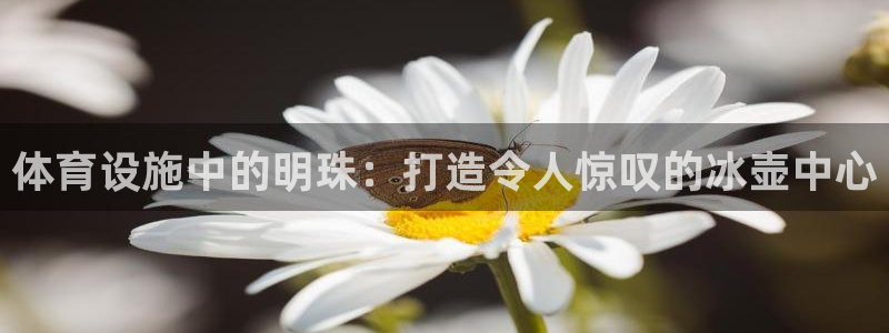 意昂3娱乐代理怎么样：体育设施中的明珠：打造令人惊叹