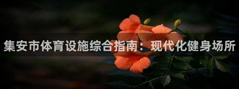 意昂体育3招商电话是多少：集安市体育设施综合指南：现
