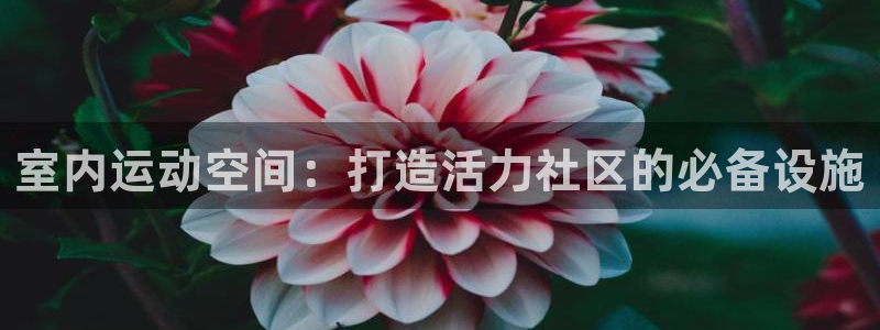意昂体育3