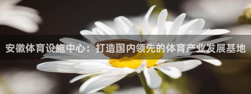 意昂体育3招商电话地址