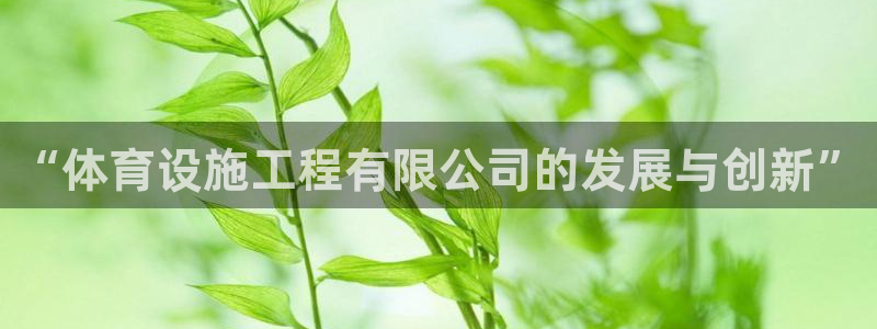 意昂体育3平台是正规平台吗