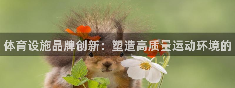 意昂3娱乐首页网站大全