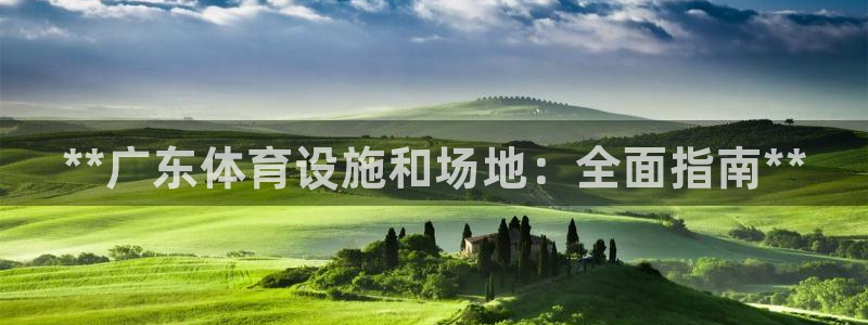 意昂3娱乐首页网站大全：**广东体育设施和场地：全面指南**
