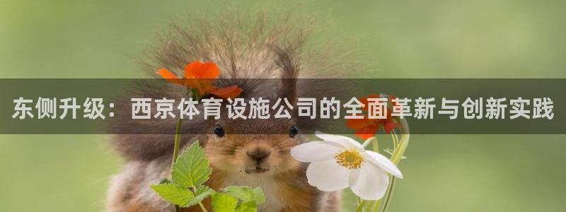 意昂3娱乐是那个系列的台子